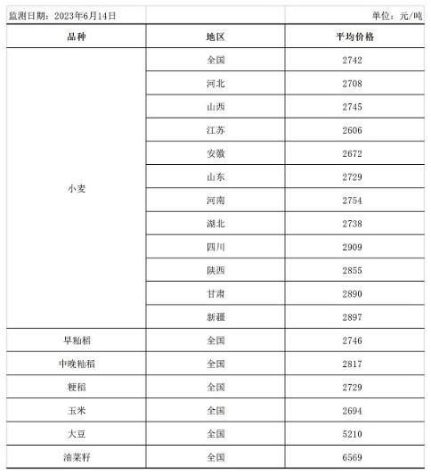糧食市場迎來新發展趨勢，中方呼吁完善全球糧農治理體系